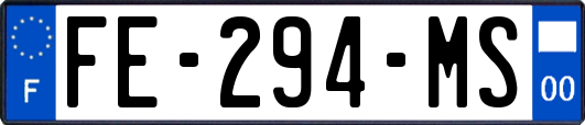 FE-294-MS