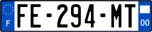 FE-294-MT