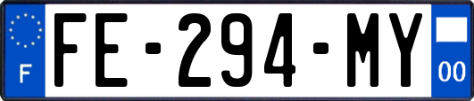 FE-294-MY