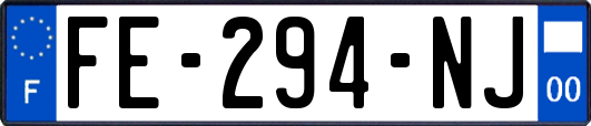 FE-294-NJ