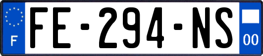 FE-294-NS