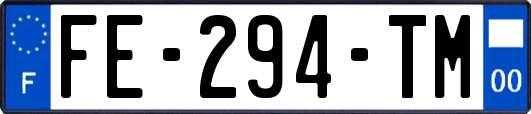 FE-294-TM