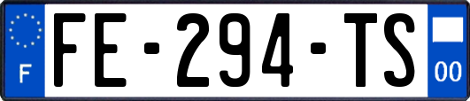 FE-294-TS