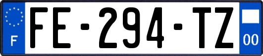 FE-294-TZ