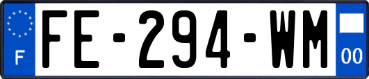 FE-294-WM