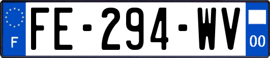 FE-294-WV