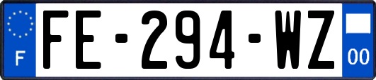 FE-294-WZ