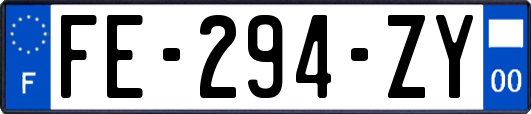FE-294-ZY
