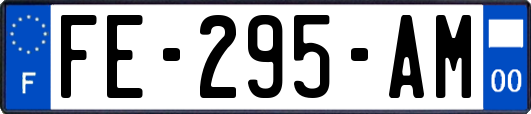 FE-295-AM