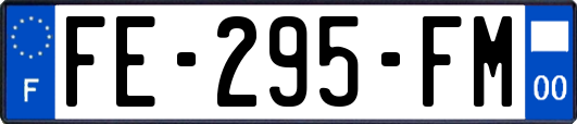 FE-295-FM