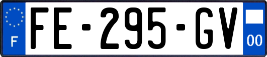FE-295-GV