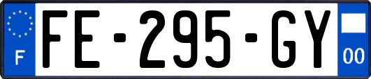 FE-295-GY