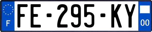 FE-295-KY