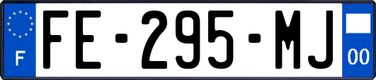 FE-295-MJ