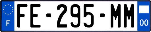 FE-295-MM