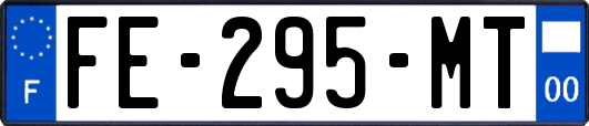 FE-295-MT