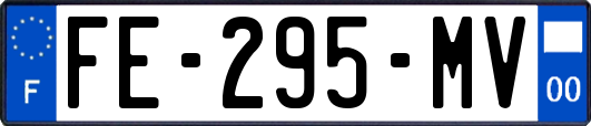 FE-295-MV