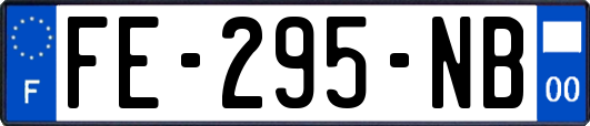 FE-295-NB