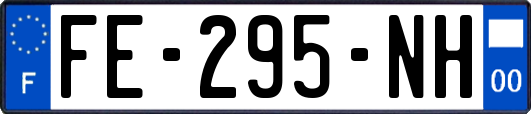 FE-295-NH