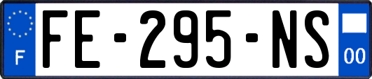 FE-295-NS