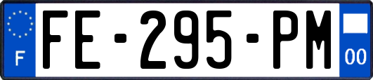 FE-295-PM