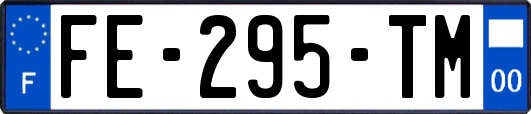 FE-295-TM