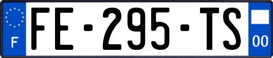 FE-295-TS