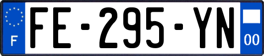 FE-295-YN