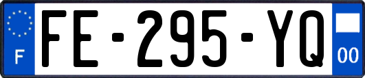FE-295-YQ