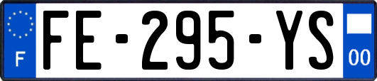FE-295-YS