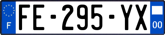 FE-295-YX