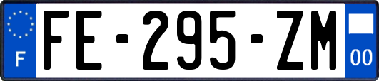 FE-295-ZM