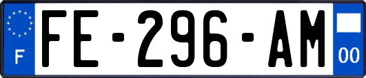 FE-296-AM