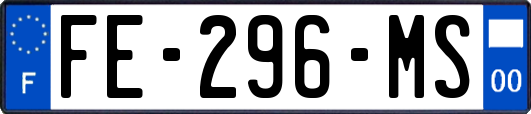 FE-296-MS