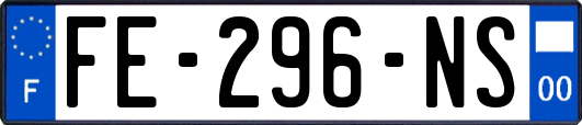 FE-296-NS