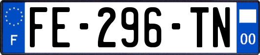 FE-296-TN