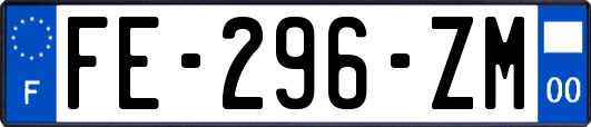 FE-296-ZM