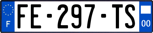 FE-297-TS