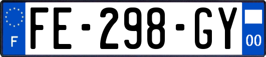 FE-298-GY