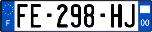 FE-298-HJ