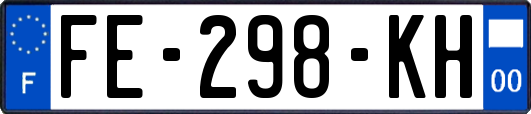 FE-298-KH
