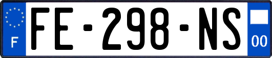 FE-298-NS