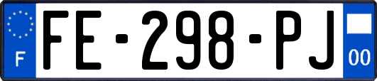 FE-298-PJ