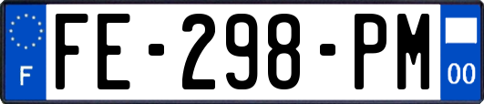 FE-298-PM