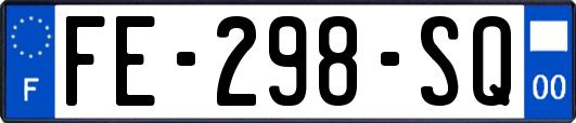 FE-298-SQ