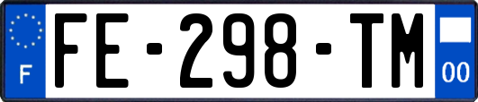 FE-298-TM