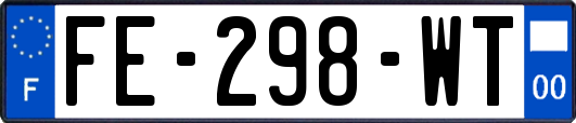 FE-298-WT