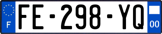 FE-298-YQ