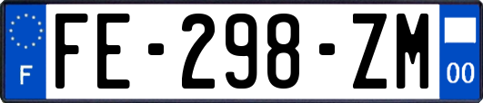 FE-298-ZM