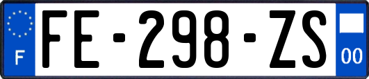 FE-298-ZS